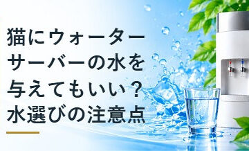 猫にウォーターサーバーの水を与えてもいい？水選びの注意点