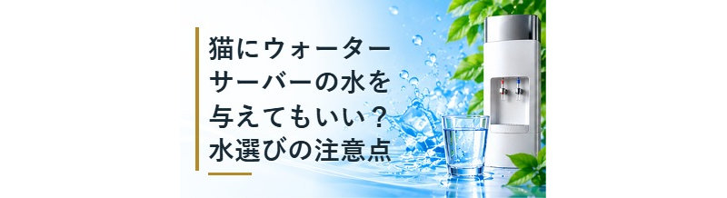 猫にウォーターサーバーの水を与えてもいい？水選びの注意点