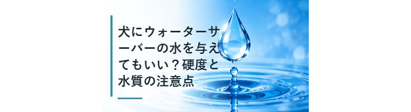 犬にウォーターサーバーの水を与えてもいい？硬度と水質の注意点